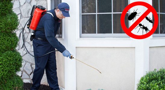 Patnos Hamam Böceği İlaçlama böcek ilaçlama ve haşere kontrolü — ilaclama-tr.com